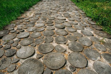 Ahşap ağaç Kulesi arasında yeşil çim çayır yolu