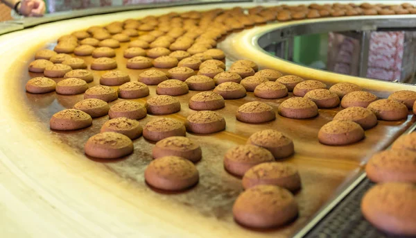 Bolos Da Fábrica De Doces Numa Correia Transportadora. Linha De