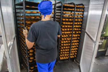 Şekerleme fabrika üretim. Fırın alt çerezleri büyük Endüstriyel fırın koyar.