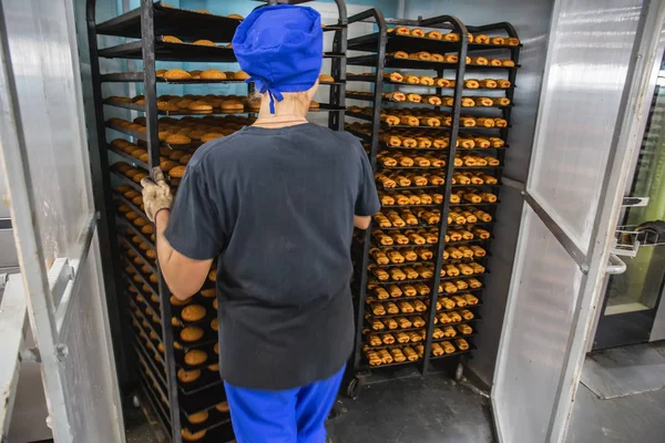 Şekerleme fabrika üretim. Fırın alt çerezleri büyük Endüstriyel fırın koyar.