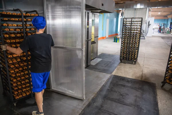 Confectionery factory manufacturing. Bakery worker puts cookies to big industrial oven