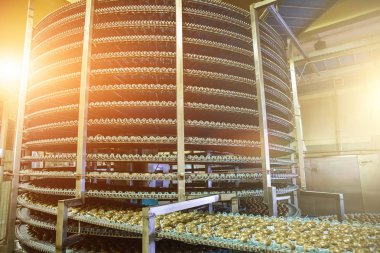 Büyük Endüstriyel fırın veya şekerleme gıda fabrikası, kurabiye ve kek üretimi yuvarlak konveyör hattı veya kemer makinede otomatik