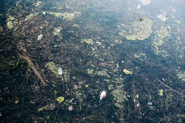 Schmutziges Meeresverschmutzungskonzept, viel Müll in Wasser, Plastikflaschen, Müll und anderem Müll — Stockfoto