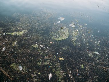 Kirli deniz kirliliği kavramı, çöp su, plastik şişe, çöp ve diğer ıvır zıvır bir sürü