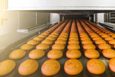 Kek otomatik konveyör bant veya satır, şekerlemeler mutfak fabrika veya bitki içinde pişirme işlemi. Gıda Sanayi, kurabiye ve diğer tatlı breadstuff üretim