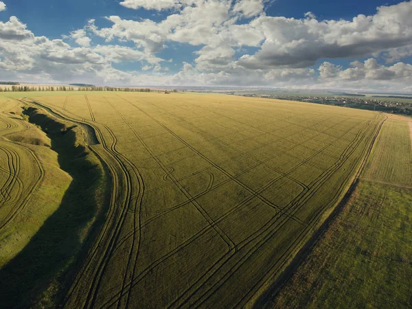 Vista aérea do drone ou aerostat ao panorama da paisagem da natureza do verão, prados verdes, estradas no campo na hora do por do sol, fundo da viagem — Fotografia de Stock