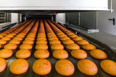 Kek otomatik konveyör bant veya satır, şekerlemeler mutfak fabrika veya bitki içinde pişirme işlemi. Gıda Sanayi, kurabiye ve diğer tatlı breadstuff üretim, kapatmak