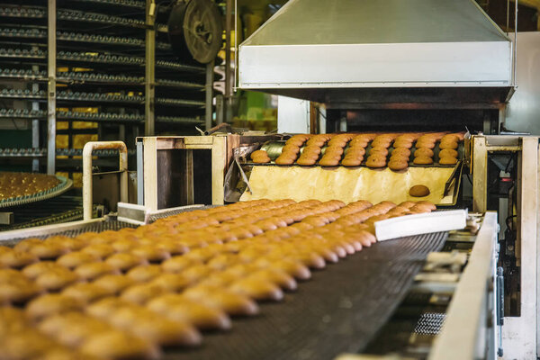 Cakes on automatic conveyor belt or line, process of baking in confectionery culinary factory or plant. Food industry, cookie and other sweet breadstuff production