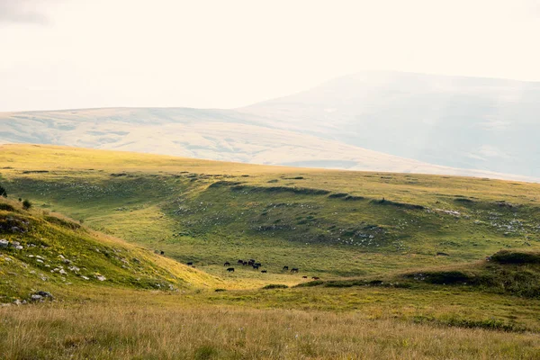 Panoramautsikt över gröna hill valley i Kaukasiska bergen i solig dag — Stockfoto