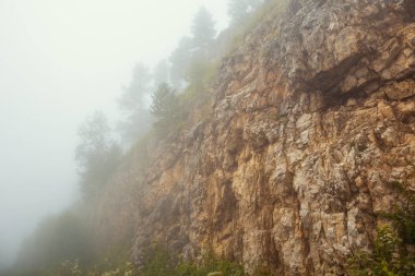 Tress sabah sis veya myst, yaz sakin manzara ile turuncu dağlar