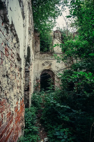 Velhas ruínas de um medieval abandonado arruinado castelo de tijolos vermelhos com arcos cobertos de árvores e plantas — Fotografia de Stock