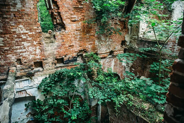 古老的废墟 一个中世纪废弃的毁红砖城堡与树木和植物杂草丛生 复古色调 — 图库照片