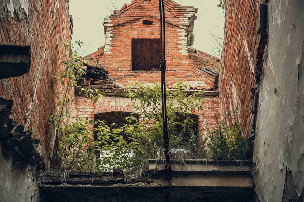 Dentro arruinado, tijolo antigo abandonado edifício do castelo envelhecido coberto com grama e plantas — Fotografia de Stock