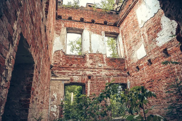 Dentro arruinado, tijolo antigo abandonado edifício do castelo envelhecido coberto com grama e plantas — Fotografia de Stock
