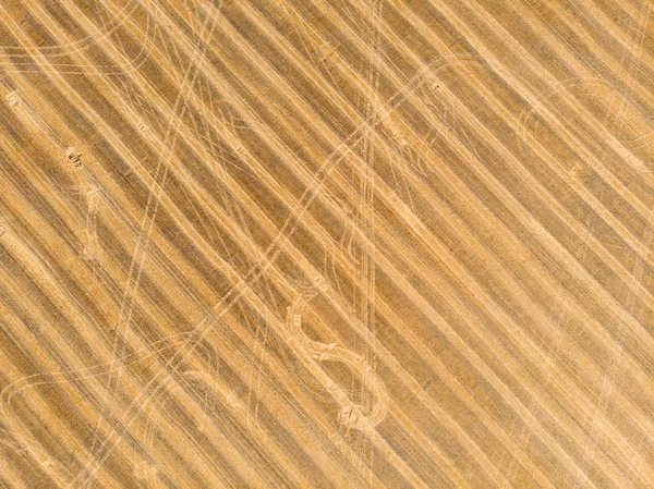 Vista aérea superior do campo agrícola amarelo como fundo abstrato de terras agrícolas — Fotografia de Stock