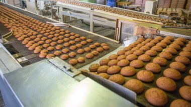 Kurabiye pişirme üretim hattı. Bisküvi Şekerleme fabrikası, gıda sanayi konveyör bant üzerinde