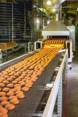 Kurabiye pişirme üretim hattı. Bisküvi Şekerleme fabrikası, gıda sanayi konveyör bant üzerinde