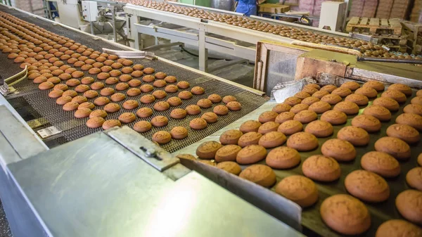 Production line of baking cookies. Biscuits on conveyor belt in confectionery factory, food industry