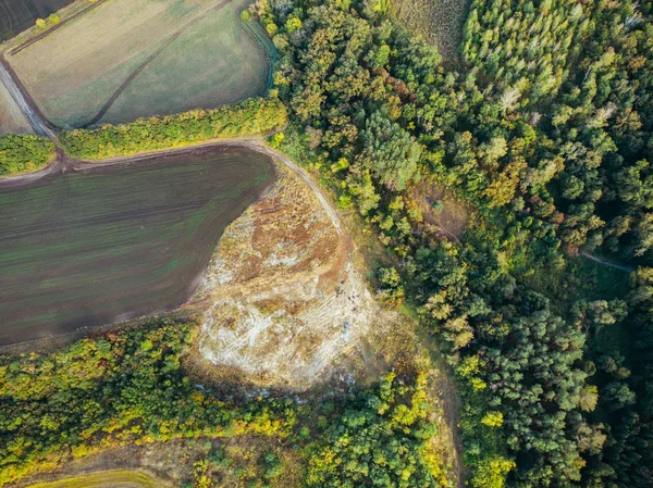 Aerial forest and meadows in summer day from above, top view