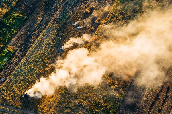 Сжигание сухой травы с белым дымом на сельскохозяйственном поле осенью, контролируемый пожар, вид сверху или с воздуха — стоковое фото
