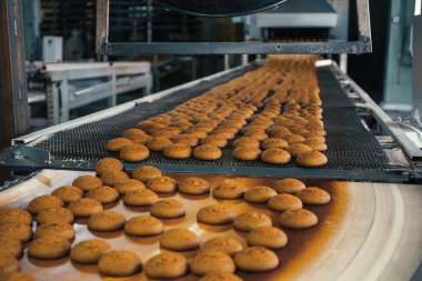 Gıda fabrika, üretim hattı veya konveyör bant ile taze pişmiş çerezleri. Modern otomatik şekerleme ve ekmek makine ekipman
