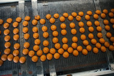Gıda fabrika, üretim hattı veya konveyör bant ile taze pişmiş çerezleri. Modern otomatik şekerleme ve ekmek makine ekipman