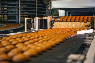 Gıda fabrika, üretim hattı veya konveyör bant ile taze pişmiş çerezleri. Modern otomatik şekerleme ve ekmek makine ekipman