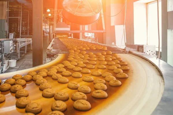 Şekerleme fabrikası atölyesindeki konveyör bandı ekipman makinelerinde tatlı kurabiyelerle otomatik fırın üretim hattı, endüstriyel gıda üretimi