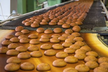 Şekerleme fabrikası atölyesindeki konveyör bandı ekipman makinelerinde tatlı kurabiyelerle otomatik fırın üretim hattı, endüstriyel gıda üretimi