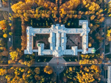 Üstten görünüm eski sarı ağaç ve kentsel trafik sonbahar şehir Peyzaj mimarisi bina