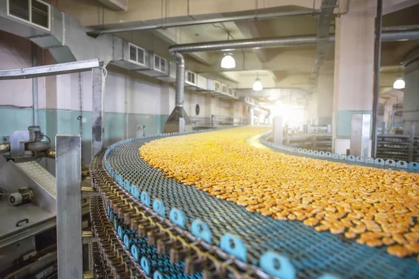 Fabrikfertigung von Lebensmitteln, industrielles Förderband oder Linie mit Prozess der Zubereitung von süßen Keksen, Bäckerei und Lebensmittelproduktion — Stockfoto