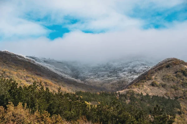 Вершины гор в облаках низкой толщины и деревья, покрытые инеем, утренние холмы панорама — стоковое фото