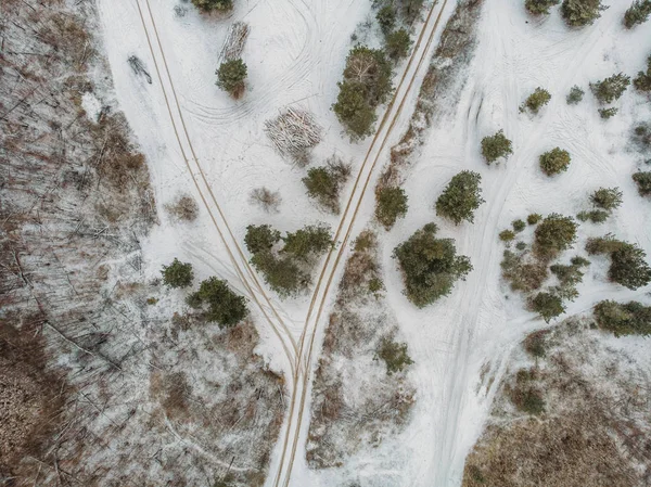 Top view from drone to winter landscape of forest with rare trees and road — Stock Photo, Image