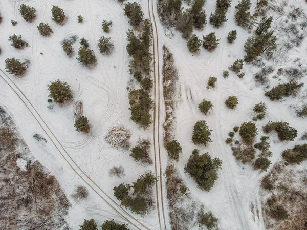 Vue de dessus du drone au paysage hivernal de la forêt avec des arbres rares et la route — Photo