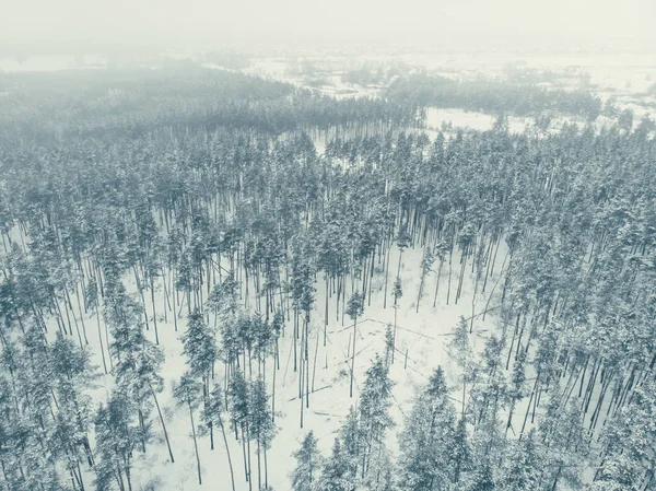 Aerial panoramic view of snow forest, nature winter landscape, drone shot