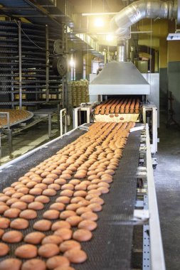 Ekmek üretim hattı veya konveyör bant üzerine taze tatlı kurabiye ile. Ekipman Makina Konfeksiyon fabrikası atölyede, endüstriyel gıda üretimi