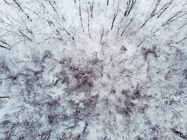 Paysage hivernal abstrait d'en haut, arbres gelés et terres enneigées, vue aérienne du haut — Photo