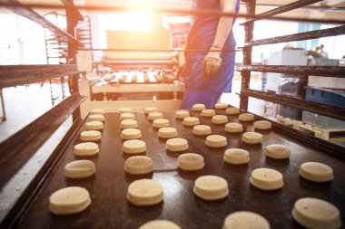 Tepsi kurabiye hamur içine özel ile ekmek fabrikası ocakta içinde yemek pişirmek için stand. Gıda Sanayi, çerez üretim