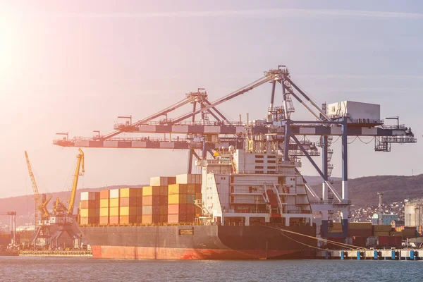 Navlun üzerinde konteyner nakliye ve Lojistik, vinçler ve diğer özel bir donanım teslim kavramı Uluslararası Ticaret Sanayi deniz limanda gemi