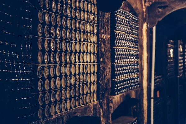 Rows of old vintage wine bottles on shelves in special cellar
