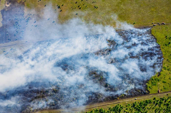 Большой дым от лесного пожара, горящая сухая трава и деревья от летнего жаркого вида с воздуха — стоковое фото