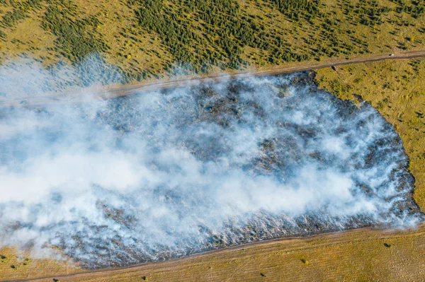 Лесной пожар в жаркий летний день, жжение сухой травы и деревьев на поле, вид с воздуха — стоковое фото
