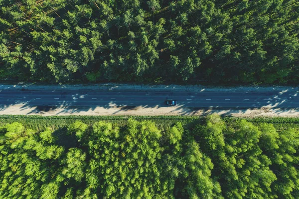 Vue aérienne du dessus de la route asphaltée entre la forêt verte d'été, tir de drone — Photo