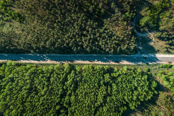 Vue aérienne du dessus de la route asphaltée entre la forêt verte d'été, tir de drone — Photo