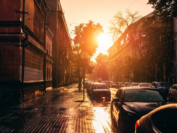 Coches aparcados en el centro de la ciudad de verano Voronezh, lluvia de verano y sol puesta del sol en la vieja ciudad europea — Foto de Stock