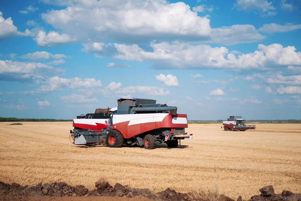 Musim panas panen gandum. Pertanian menggabungkan mesin pemanen di tempat kerja. — Stok Foto