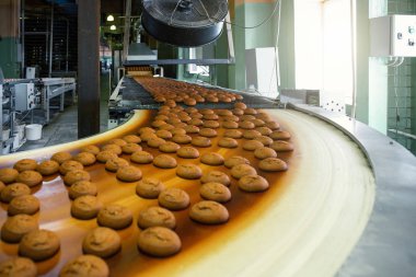 Şekerleme fabrika atölyesinde konveyör bant ekipmanları makine üzerinde tatlı kurabiye ile Fırın üretim hattı, endüstriyel gıda üretimi