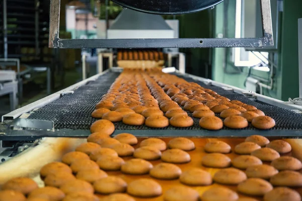 Bakery production line with sweet cookies on conveyor belt equipment machinery in confectionery factory workshop, industrial food production
