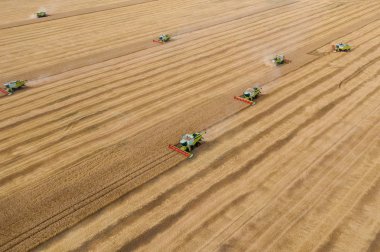 Hasat birleştirin sarı tahıl alanında buğday toplar, drone havadan görünümü