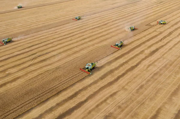 Kombajny zbożowe zbierają pszenicę na żółtym polu ziarna, widok z lotu ptaka z drona — Zdjęcie stockowe